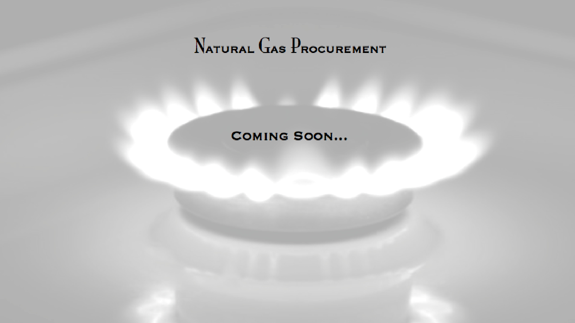 Natural Gas Procurement